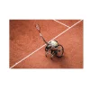 Roland-Garros Scooter And Helmets|Diede De Groot - Movement Photo 15 x 21 cm