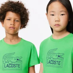 Roland-Garros Girls Outfit|Boys Outfit|Ultra-Dry Sport Roland Garros Edition Children Tennis T-shirt